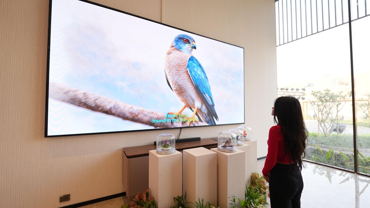 Visitor viewing Sahyadri bird story on LED display